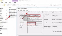 网红男生爆料视频下载安装,揭秘网红圈幕后秘密